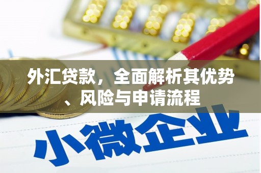泗礁外汇贷款，全面解析其优势、风险与申请流程