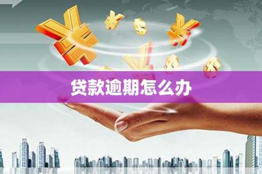泗礁贷款逾期怎么办