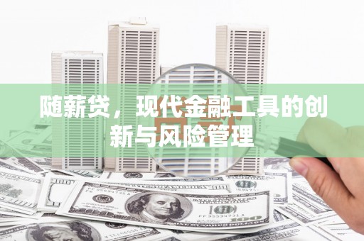 泗礁随薪贷，现代金融工具的创新与风险管理