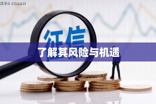 泗礁了解其风险与机遇