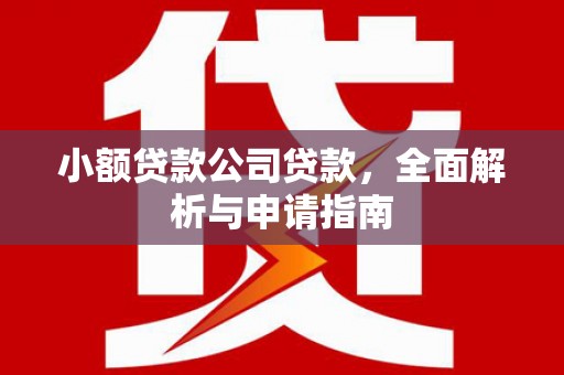 泗礁小额贷款公司贷款，全面解析与申请指南