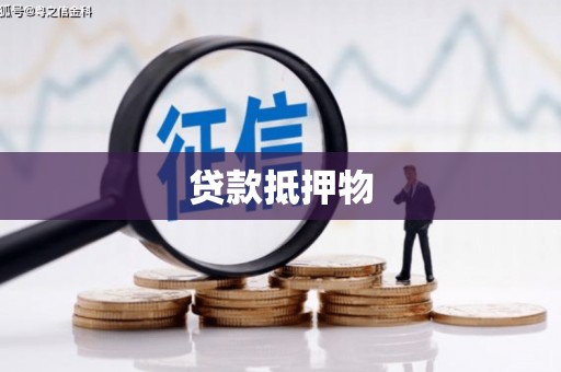 泗礁贷款抵押物