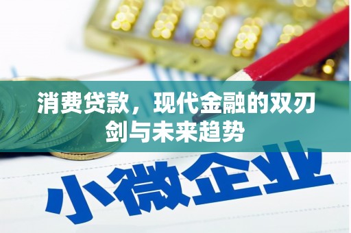 泗礁消费贷款，现代金融的双刃剑与未来趋势
