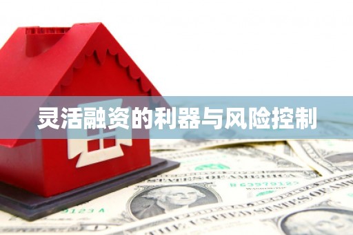 泗礁灵活融资的利器与风险控制