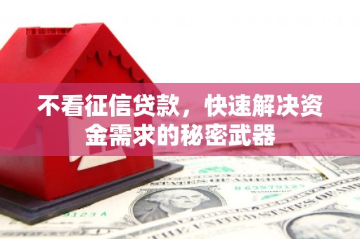 泗礁不看征信贷款，快速解决资金需求的秘密武器