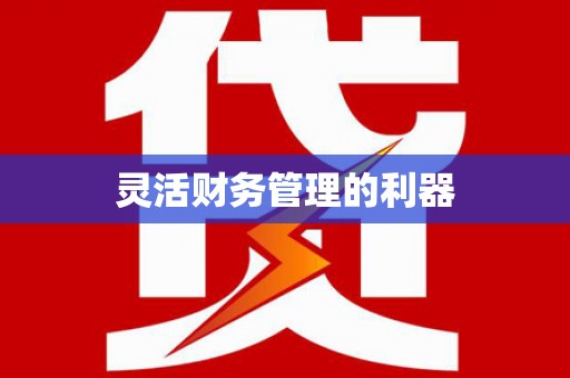 泗礁灵活财务管理的利器