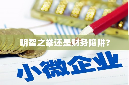 泗礁明智之举还是财务陷阱？