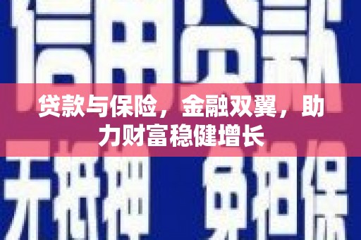 泗礁贷款与保险，金融双翼，助力财富稳健增长
