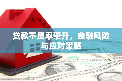 泗礁贷款不良率攀升，金融风险与应对策略