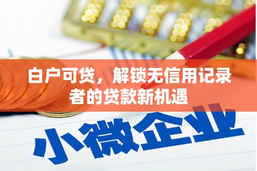 泗礁白户可贷，解锁无信用记录者的贷款新机遇