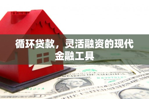 泗礁循环贷款，灵活融资的现代金融工具