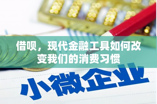 泗礁借呗，现代金融工具如何改变我们的消费习惯