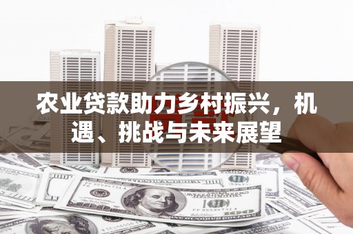 泗礁农业贷款助力乡村振兴，机遇、挑战与未来展望