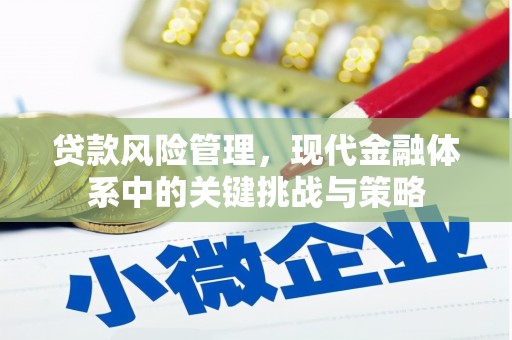泗礁贷款风险管理，现代金融体系中的关键挑战与策略
