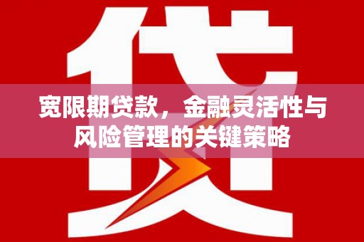 泗礁宽限期贷款，金融灵活性与风险管理的关键策略