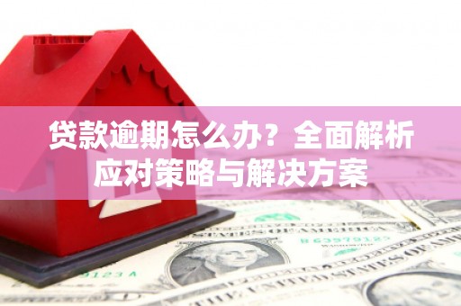 泗礁贷款逾期怎么办？全面解析应对策略与解决方案