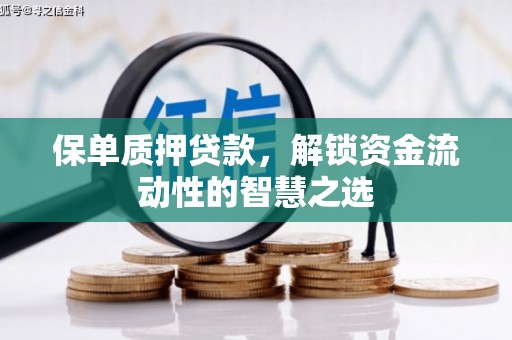 泗礁保单质押贷款，解锁资金流动性的智慧之选