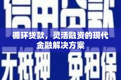 泗礁循环贷款，灵活融资的现代金融解决方案