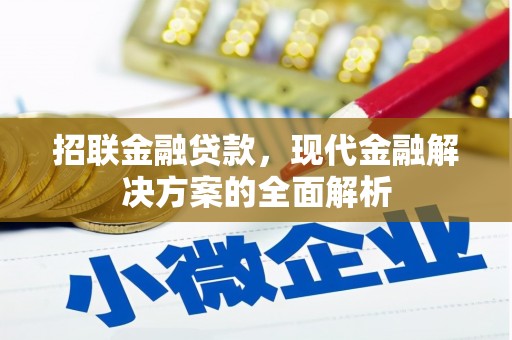 泗礁招联金融贷款，现代金融解决方案的全面解析