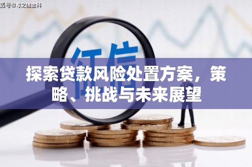 泗礁探索贷款风险处置方案，策略、挑战与未来展望