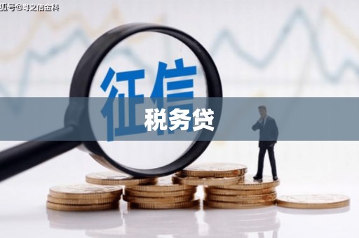 泗礁税务贷