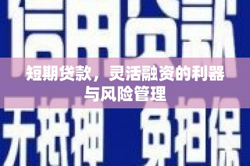 泗礁短期贷款，灵活融资的利器与风险管理
