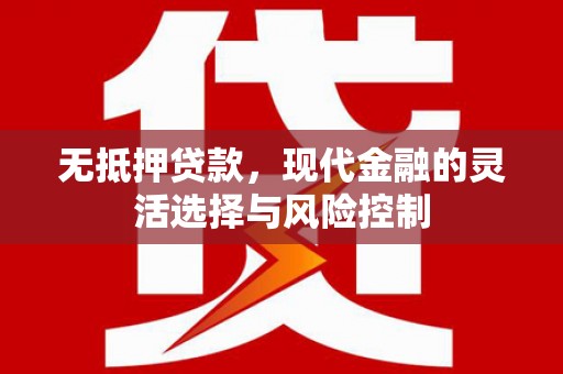 泗礁无抵押贷款，现代金融的灵活选择与风险控制