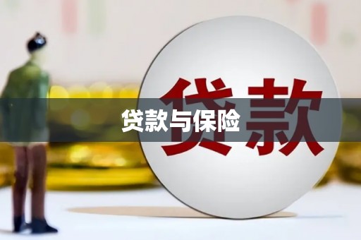 泗礁贷款与保险