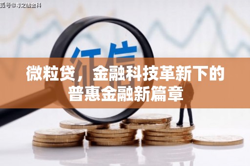 泗礁微粒贷，金融科技革新下的普惠金融新篇章