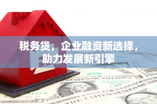 泗礁税务贷，企业融资新选择，助力发展新引擎