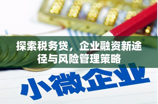 泗礁探索税务贷，企业融资新途径与风险管理策略