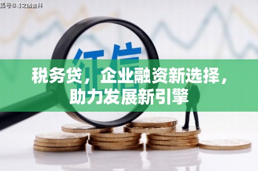 泗礁税务贷，企业融资新选择，助力发展新引擎