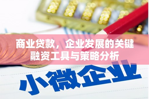 泗礁商业贷款，企业发展的关键融资工具与策略分析