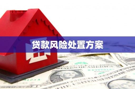 泗礁贷款风险处置方案