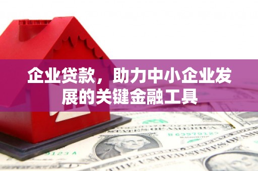 泗礁企业贷款，助力中小企业发展的关键金融工具