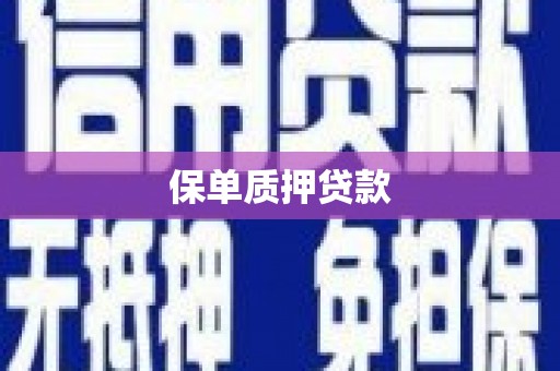 泗礁保单质押贷款