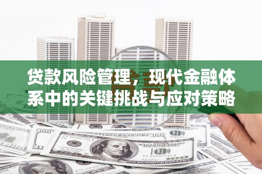 泗礁贷款风险管理，现代金融体系中的关键挑战与应对策略
