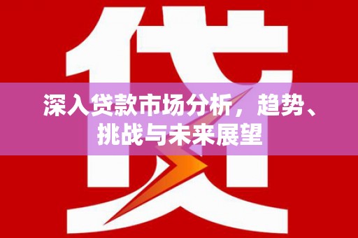 泗礁深入贷款市场分析，趋势、挑战与未来展望