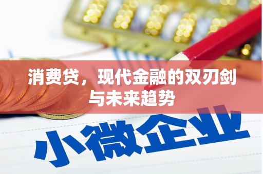 泗礁消费贷，现代金融的双刃剑与未来趋势