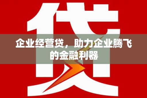 泗礁企业经营贷，助力企业腾飞的金融利器