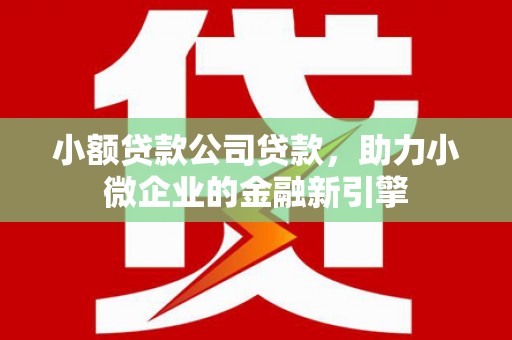 泗礁小额贷款公司贷款，助力小微企业的金融新引擎