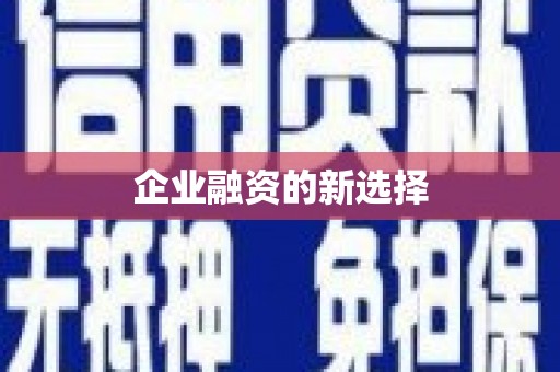 泗礁企业融资的新选择