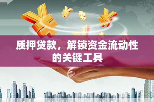 泗礁质押贷款，解锁资金流动性的关键工具