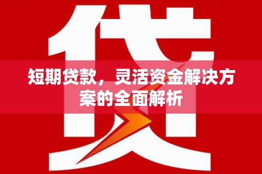泗礁短期贷款，灵活资金解决方案的全面解析
