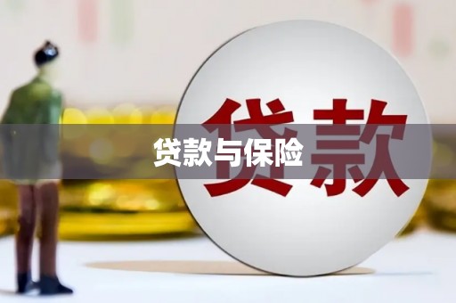 泗礁贷款与保险