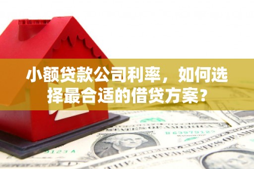 泗礁小额贷款公司利率，如何选择最合适的借贷方案？