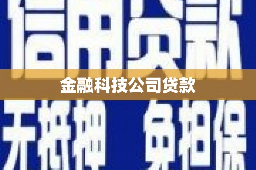 泗礁金融科技公司贷款