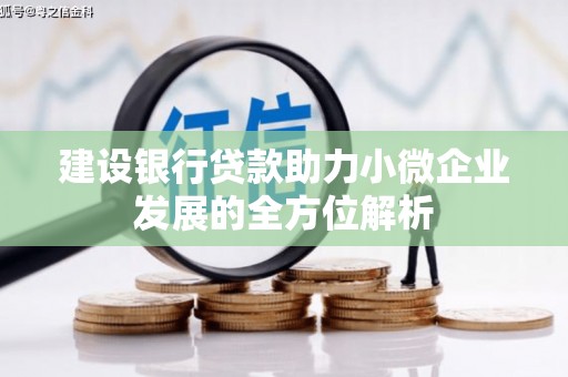 泗礁建设银行贷款助力小微企业发展的全方位解析