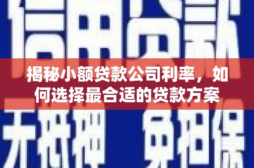 泗礁揭秘小额贷款公司利率，如何选择最合适的贷款方案