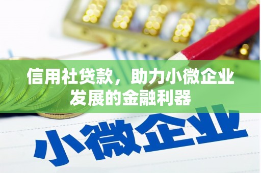 泗礁信用社贷款，助力小微企业发展的金融利器